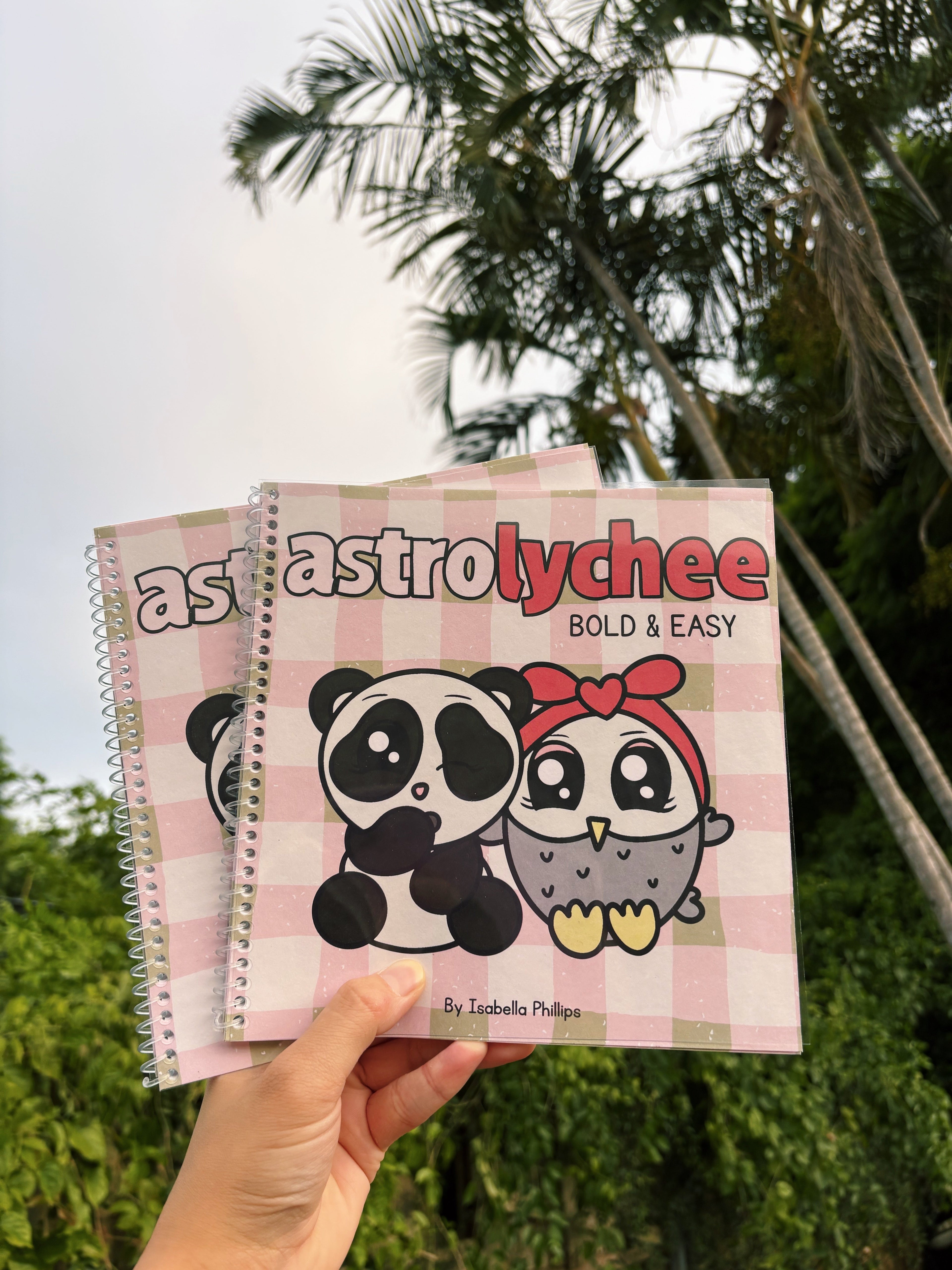 Creative Corner - Soft Pixel Diaries x Astrolychee