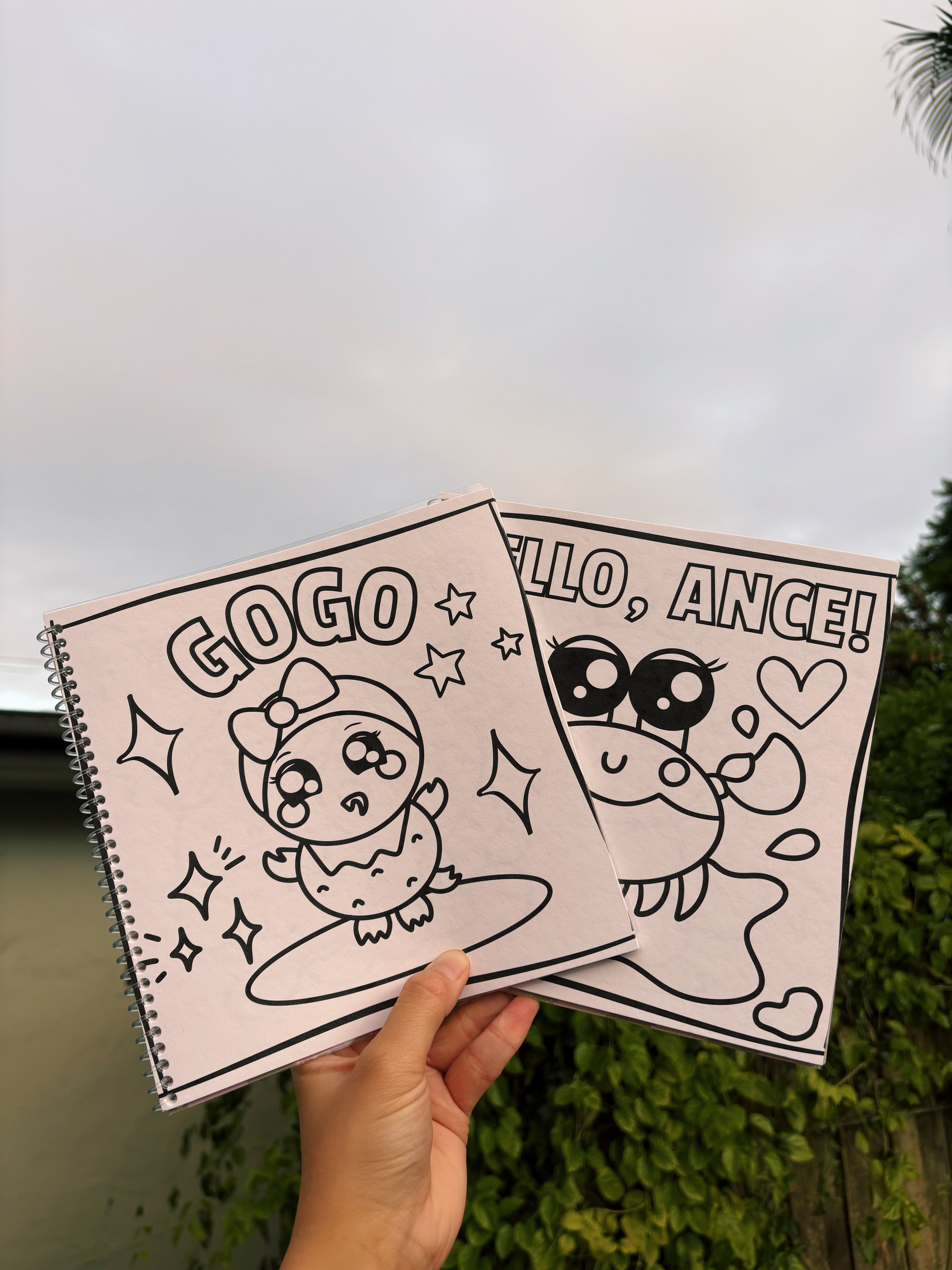 Astrolychee Bold & Easy Deluxe Colouring Book