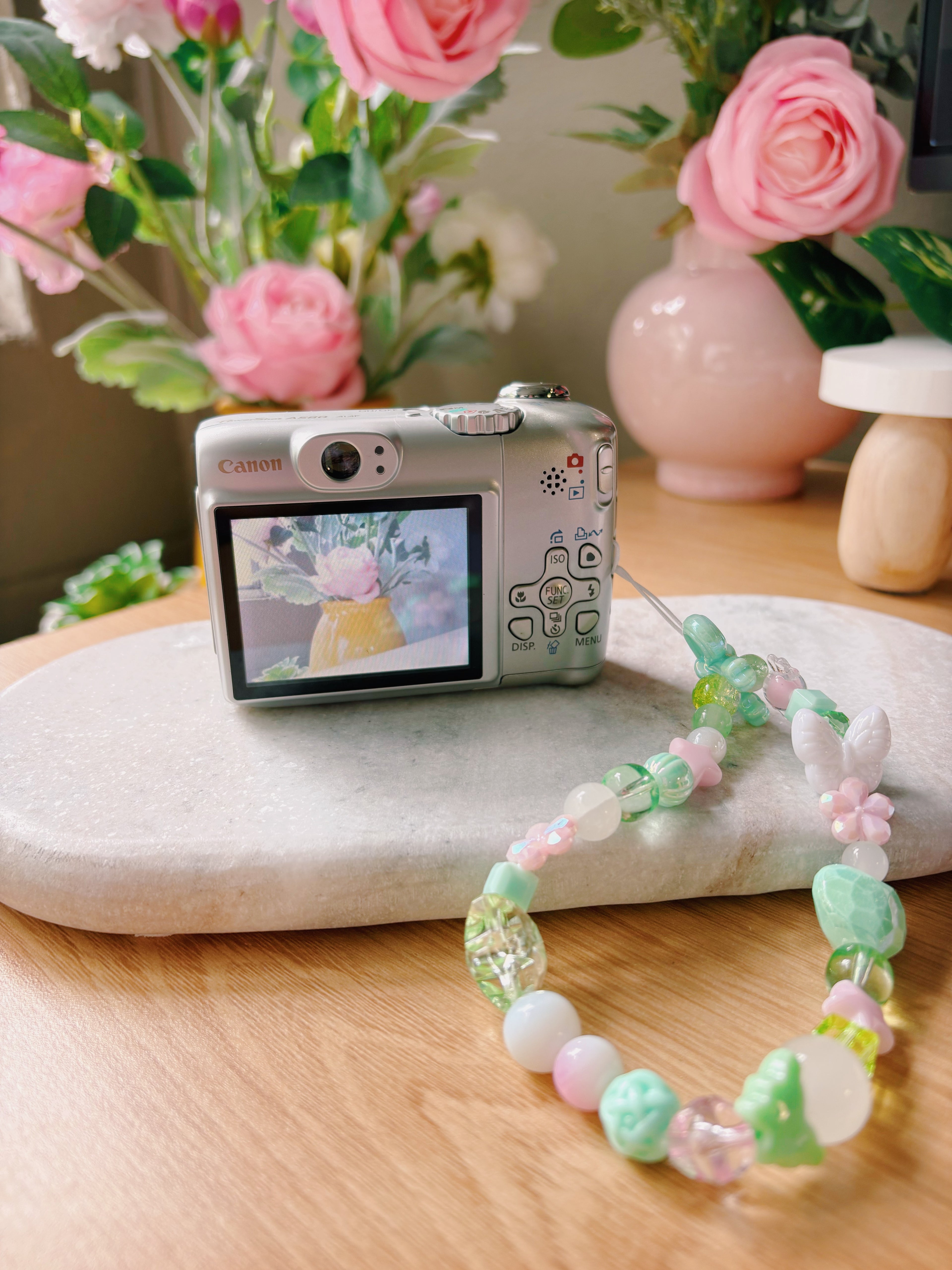 Minty – The Quiet Observer | Canon PowerShot A580