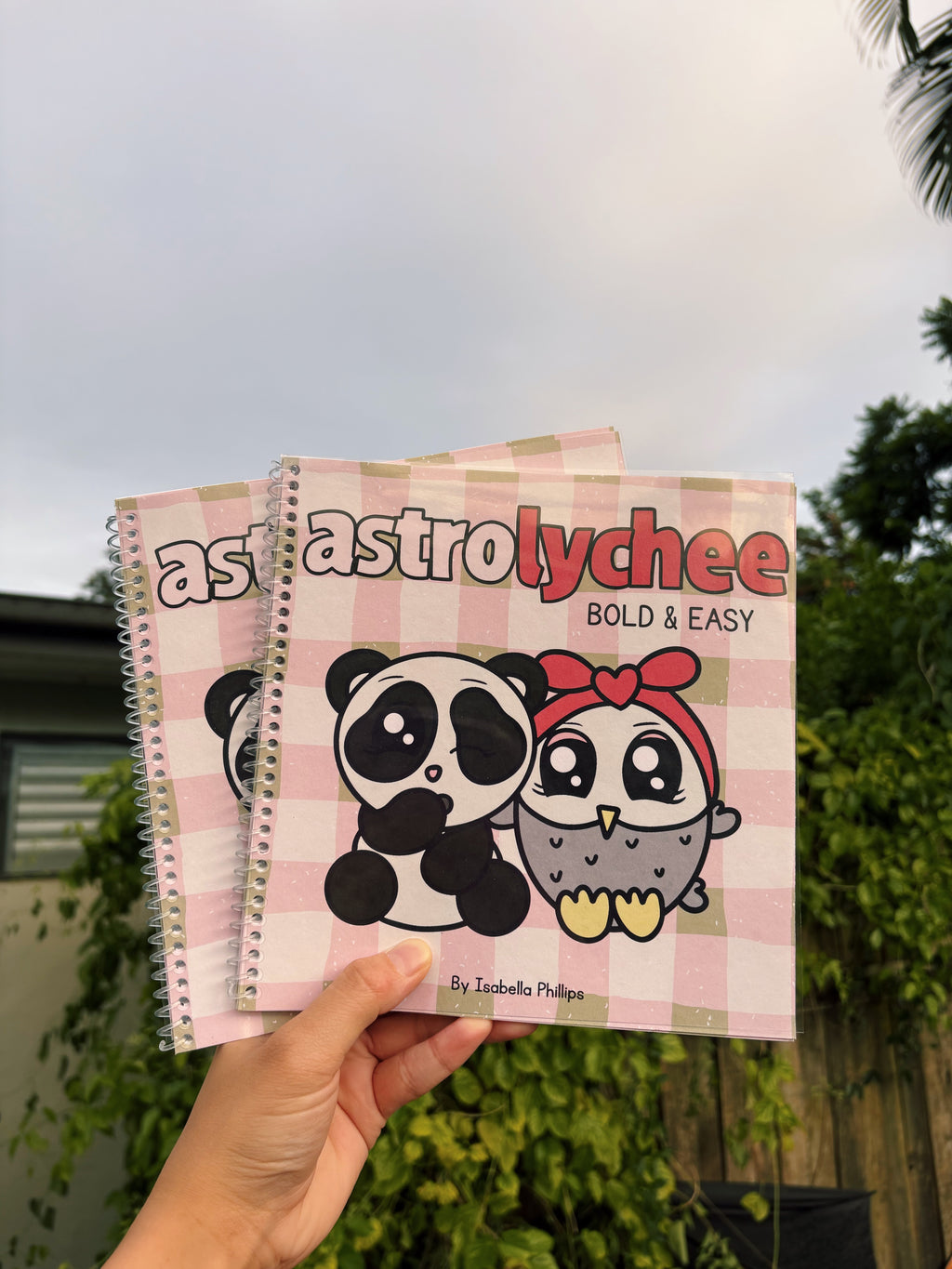 Astrolychee Bold & Easy Deluxe Colouring Book