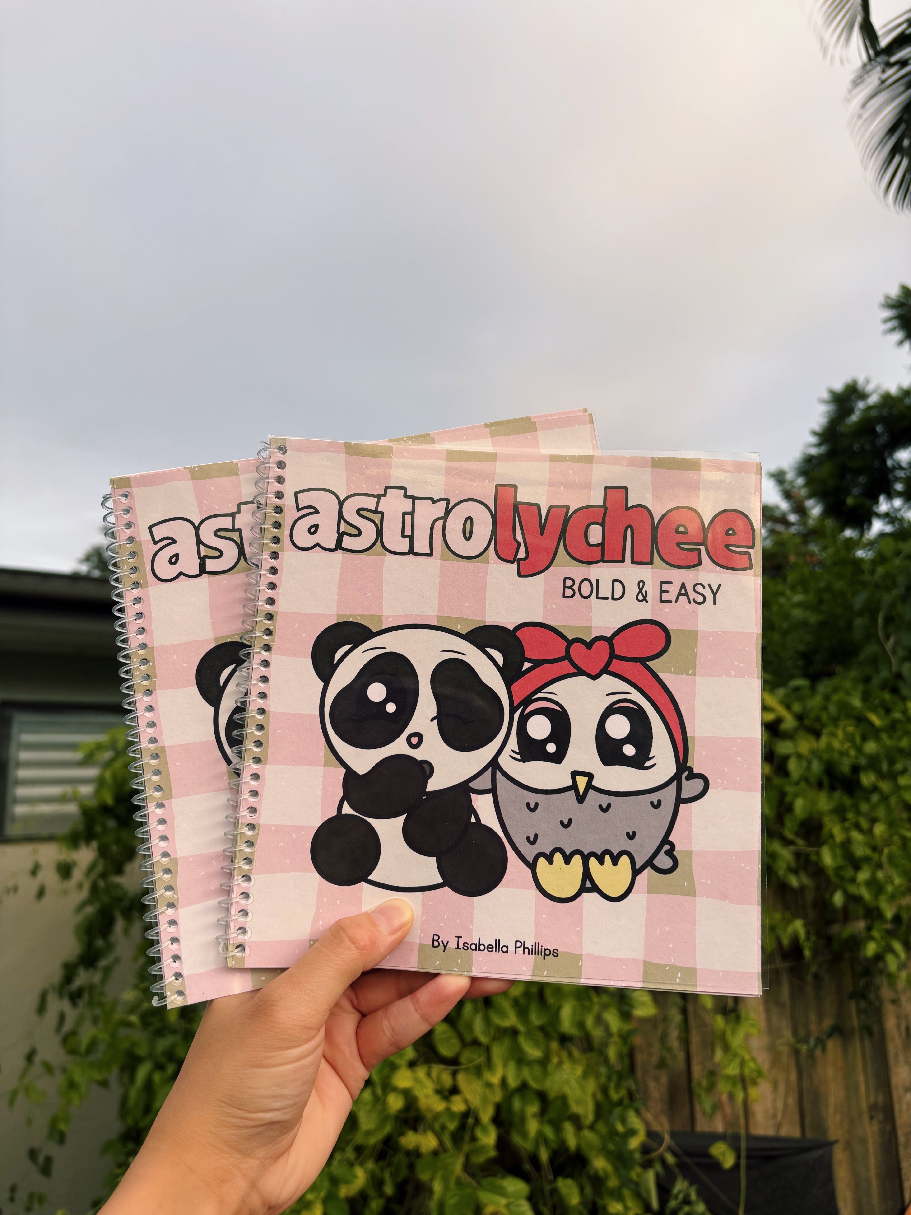 Astrolychee Bold & Easy Deluxe Colouring Book