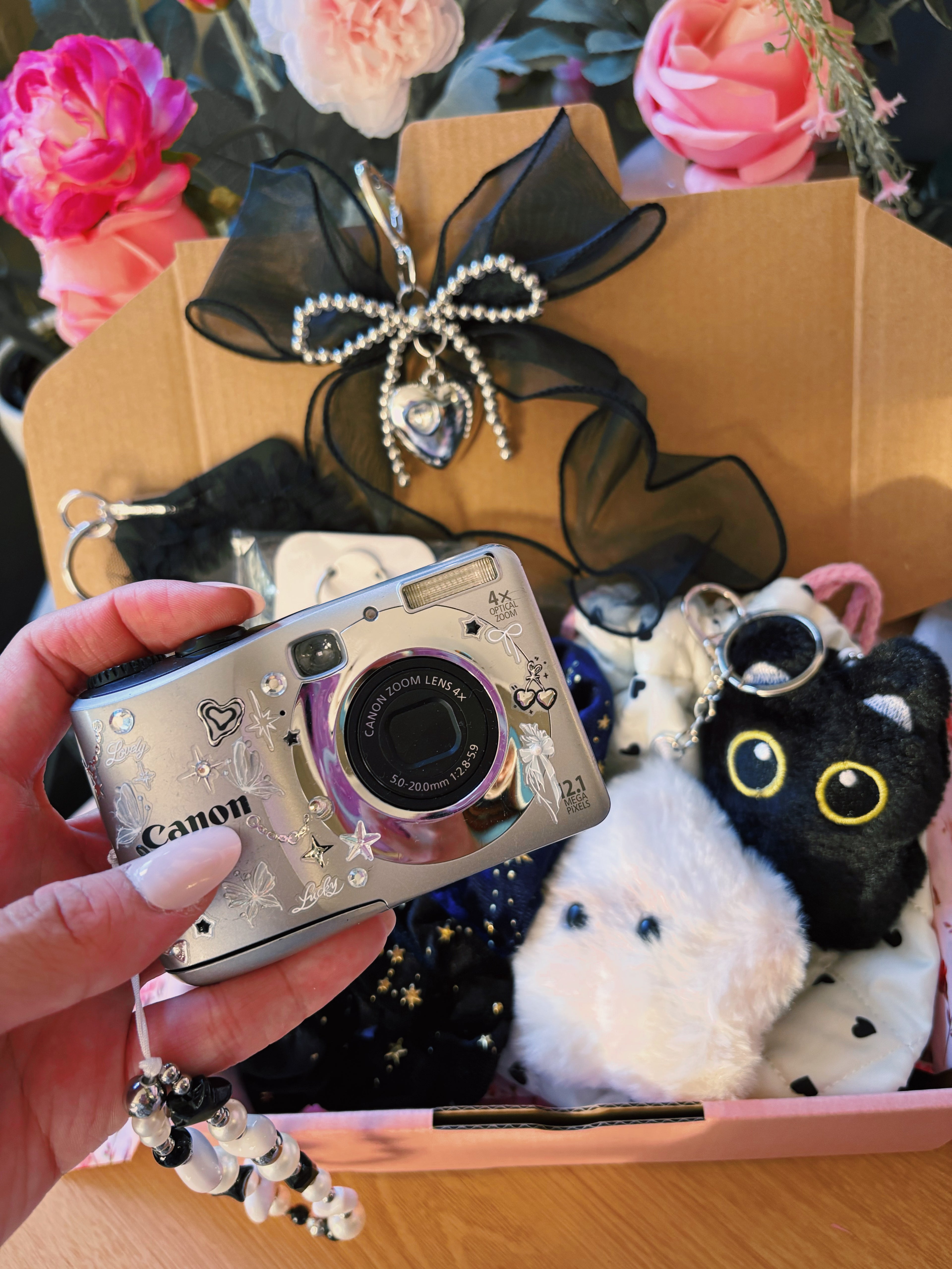 “Elysia” – Canon A2100 Silver Vintage Digi Cam (Y2K Aesthetic) | Charm Set