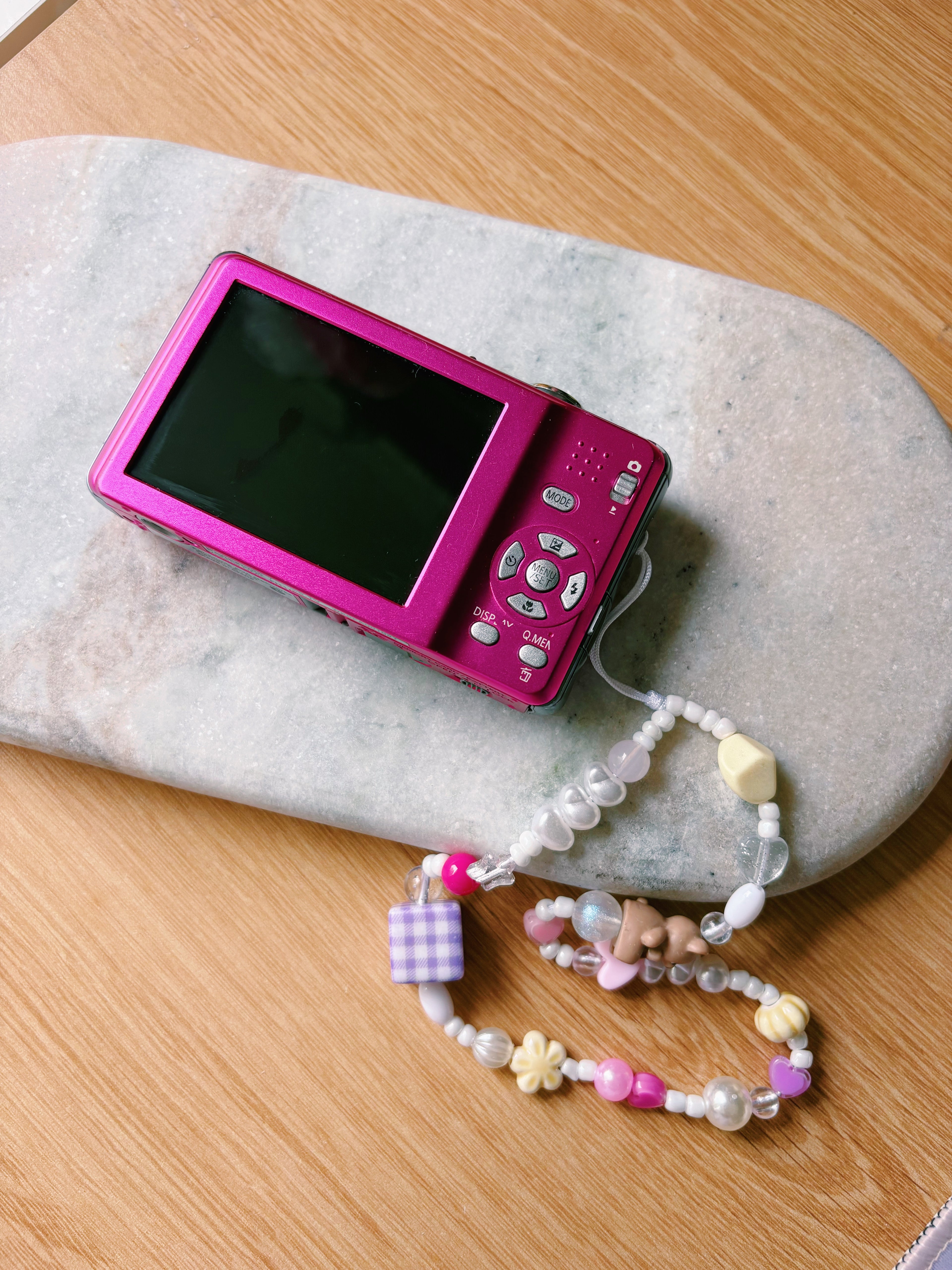 “Sakura Static” 🌸 Lumix DMC-FH1 - Lumix Sisters Digi Cam (SoftPixelDiaries Curated)