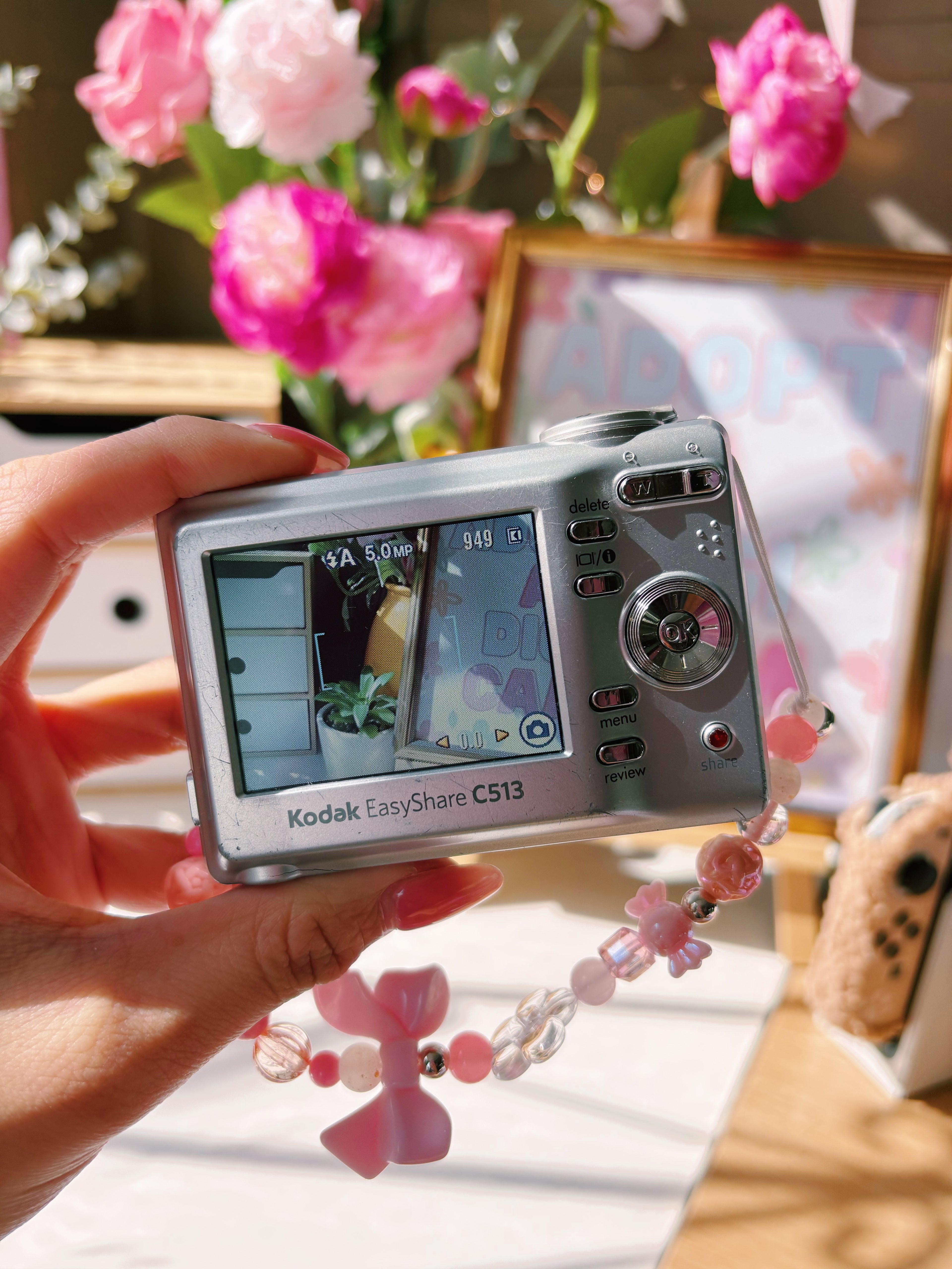 Pink Daydream ✿ Kodak EasyShare C513 Digital Camera Bundle