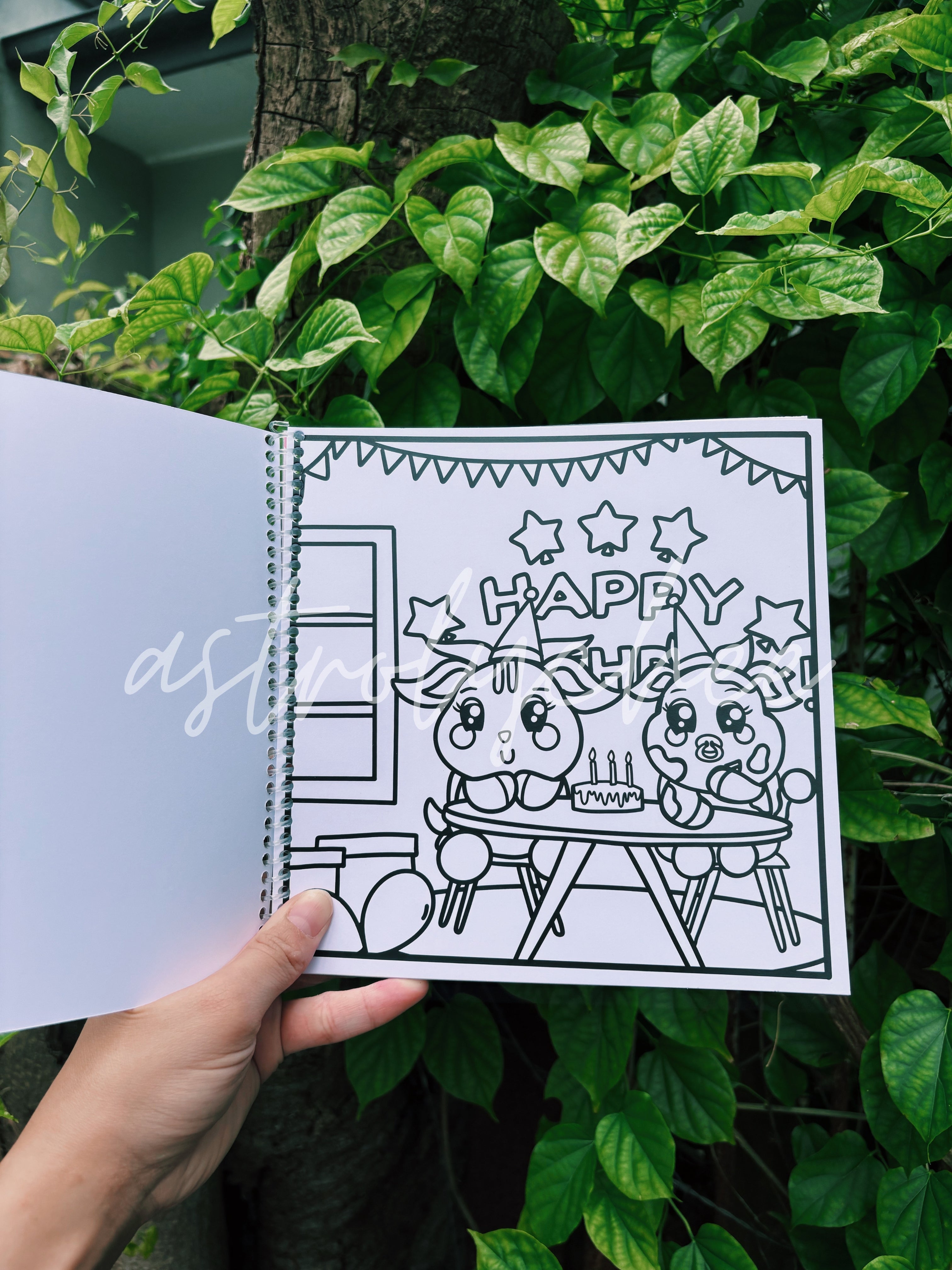 Astrolychee & Friends Deluxe Colouring Book