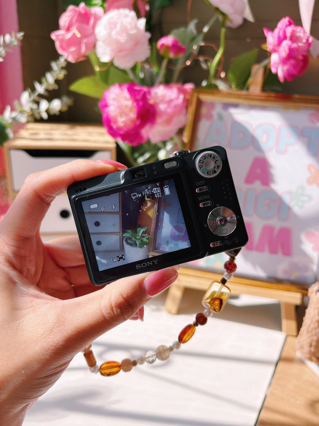Golden Hour ✿ Sony Cyber-shot DSC-W55 Digital Camera Bundle