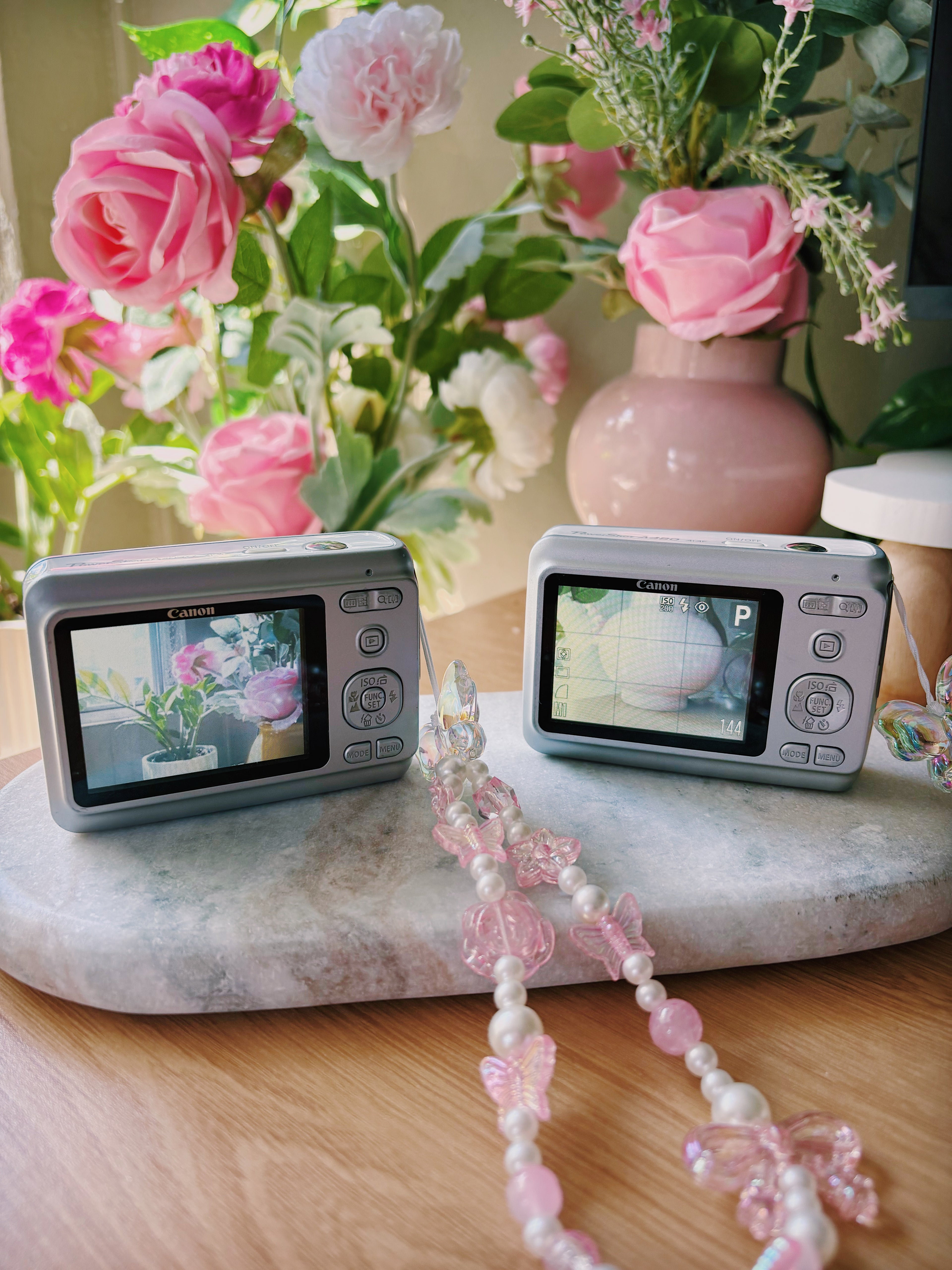 One Fairy Left ✧ Canon Powershot A480 (Silver) – Enchanted Duo Set (1 Available)