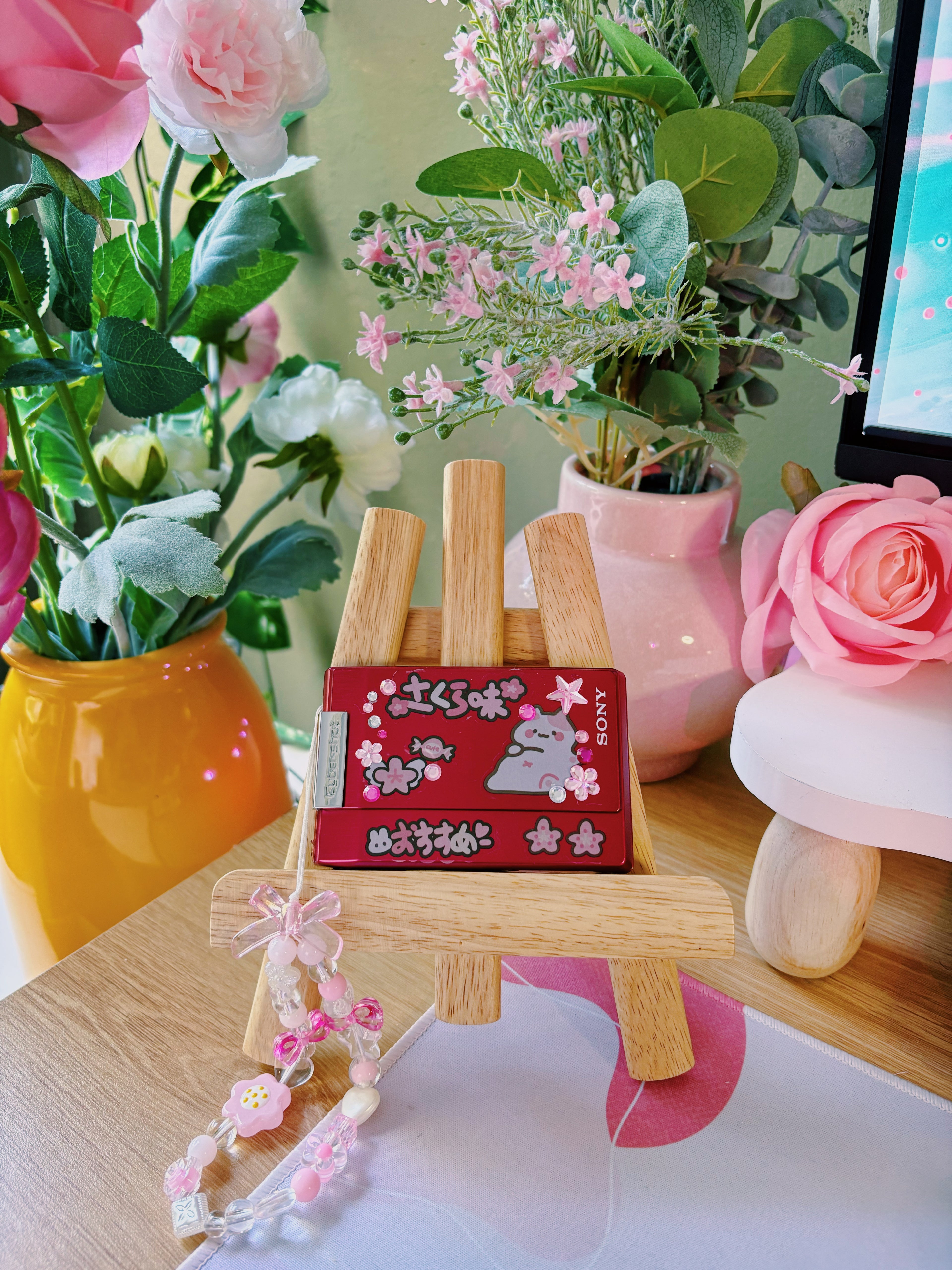 Ruby – The Bold Vintage | Sony Cyber-shot DSC-P100 – Red