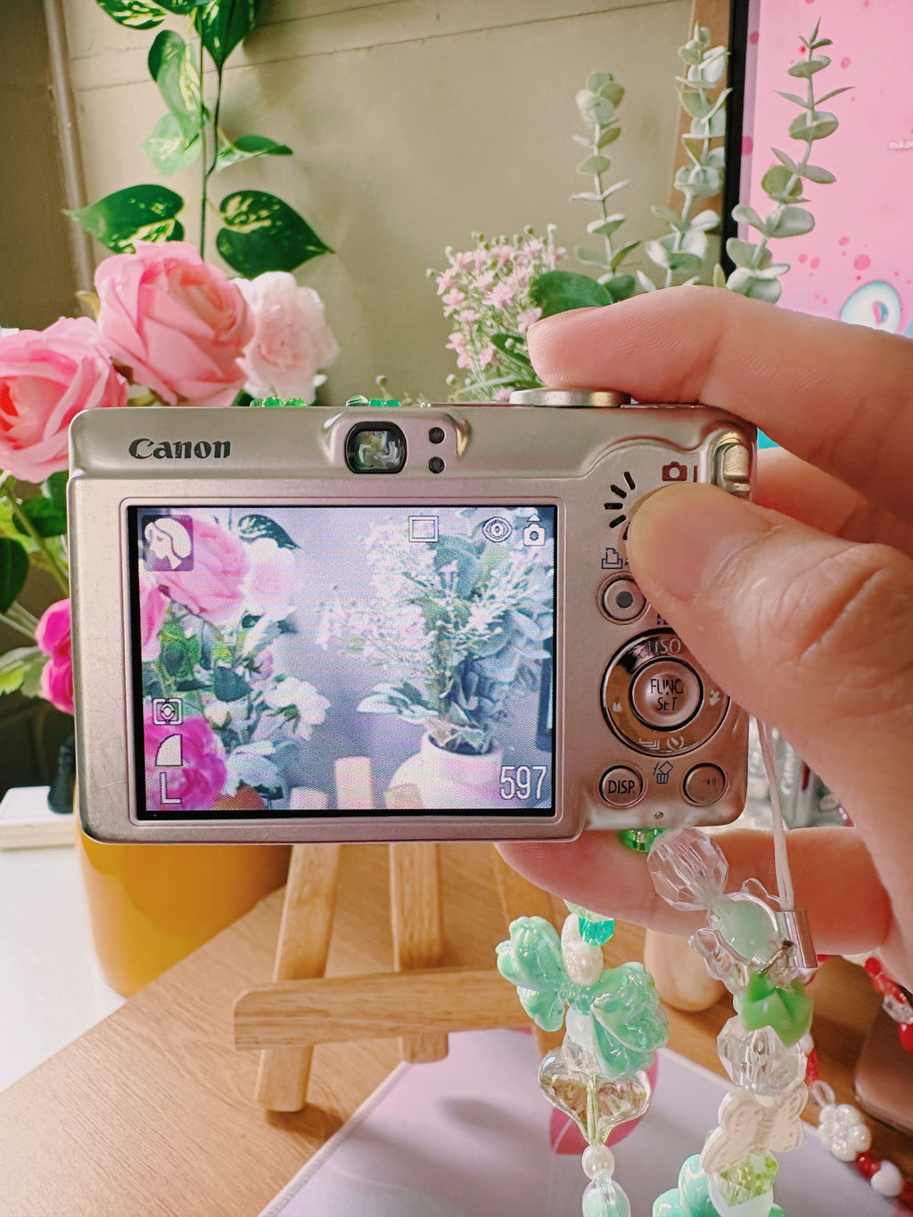 Nova – The Soft Icon | Canon IXUS 60 – Silver