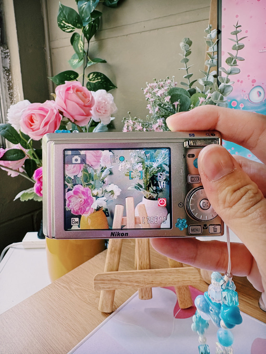 Frost – The Cool Minimalist | Nikon Coolpix S510 – Silver