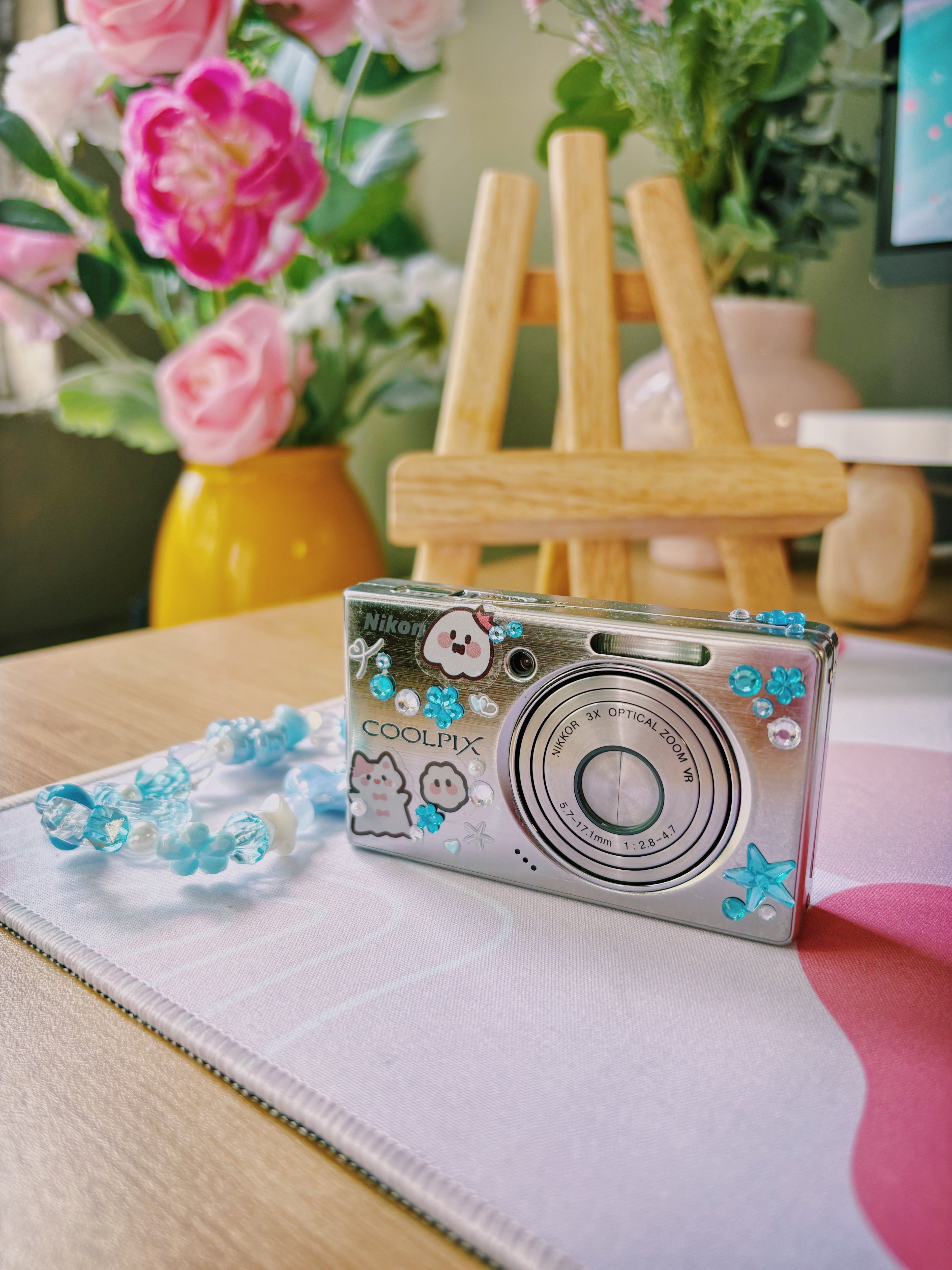 Frost – The Cool Minimalist | Nikon Coolpix S510 – Silver