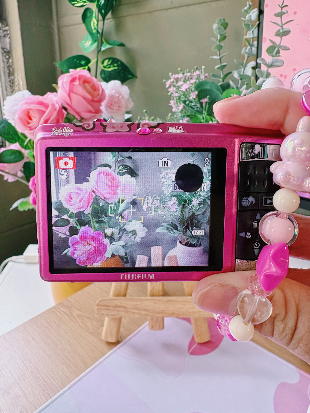 Peony – The Delicate Darling | Fujifilm FinePix Z80 – Pink